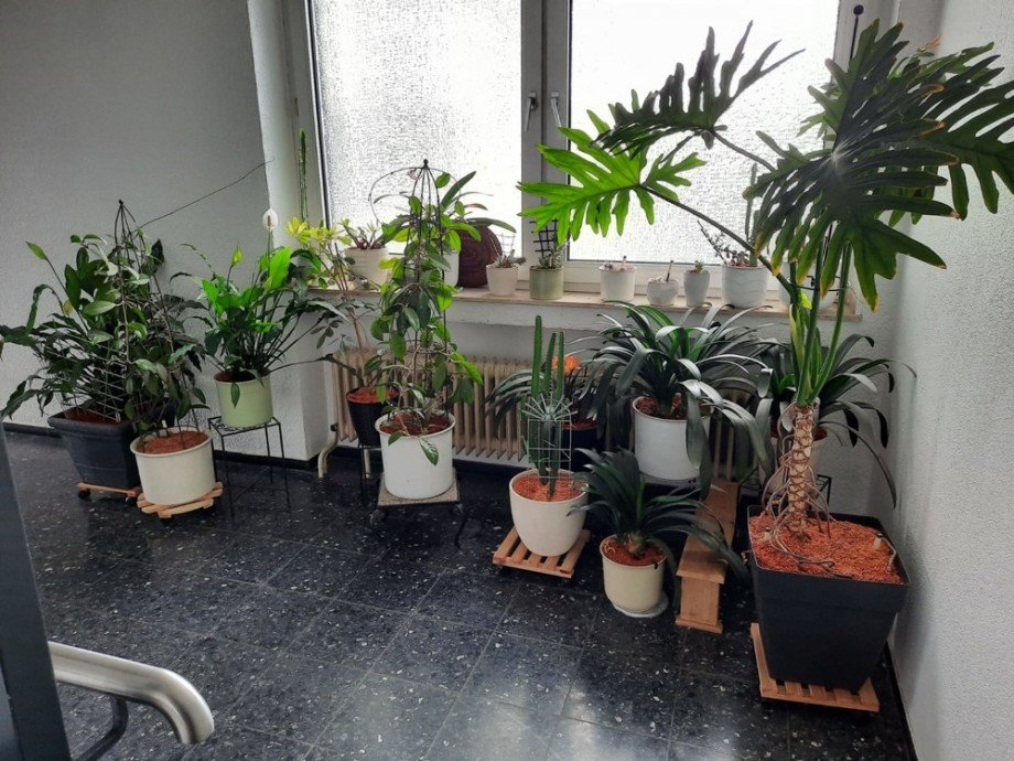 Treppenhaus Etagenwohnung Viersen