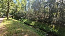 . Zum Kauf: Zwei Waldgrundst�cke in 41379 Br�ggen