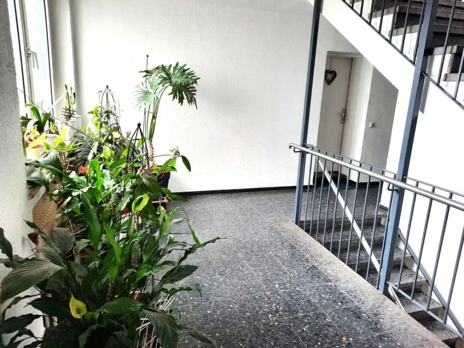 Treppenhaus Etagenwohnung Viersen