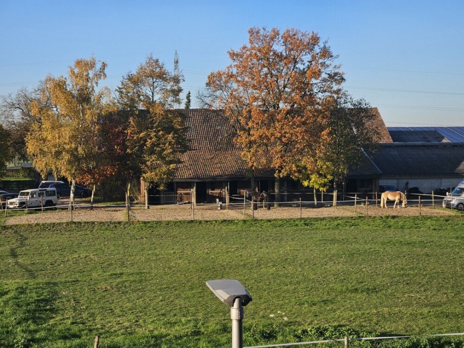 Blick vom Haus aus Reiheneckhaus Viersen